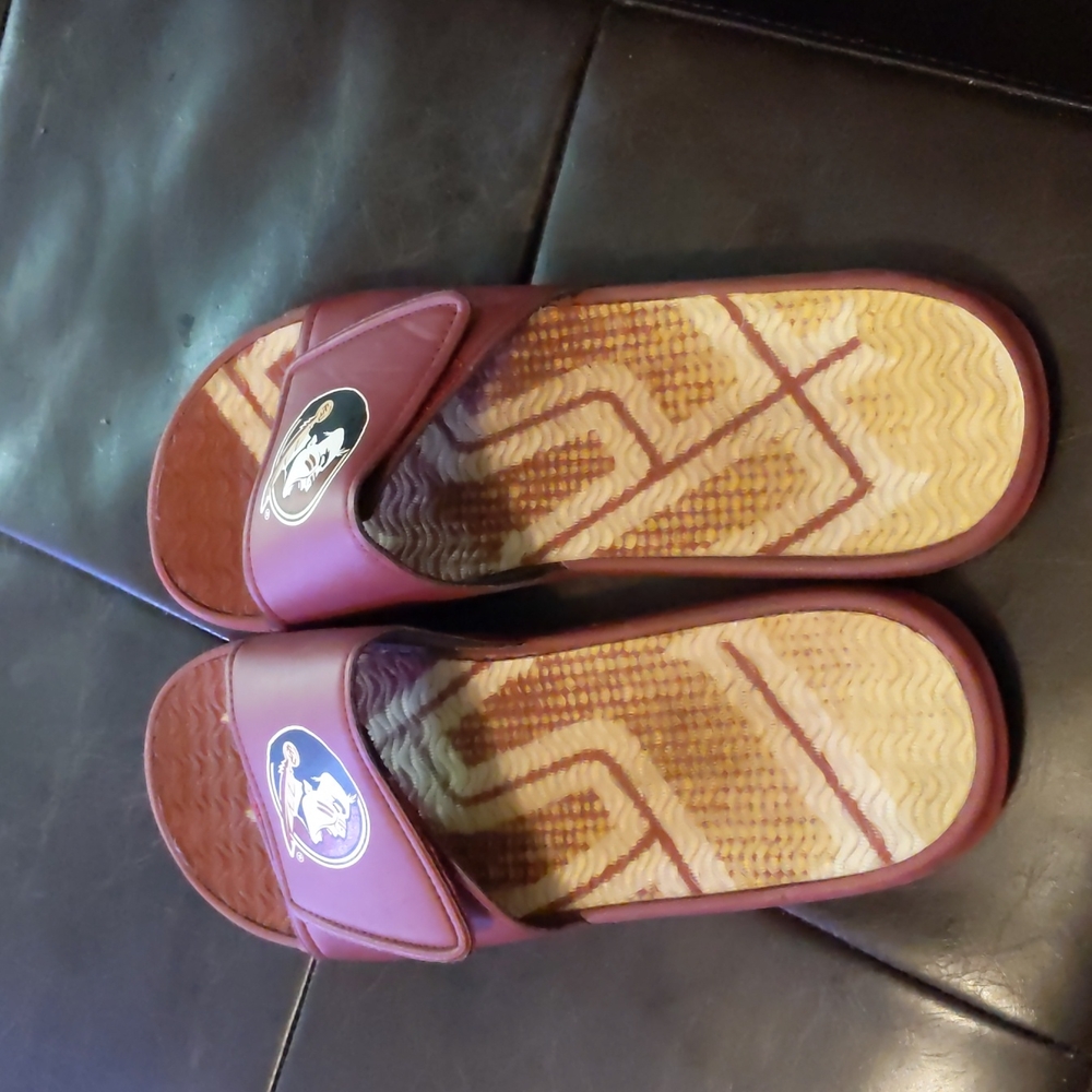 FSU Slides - Picture 3 of 4